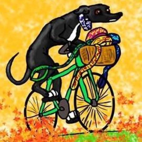 DogsOnBikes-lg.jpg