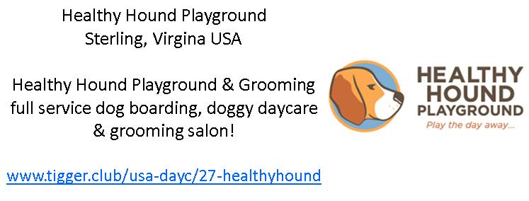 HealthyHoundV-banner.jpg
